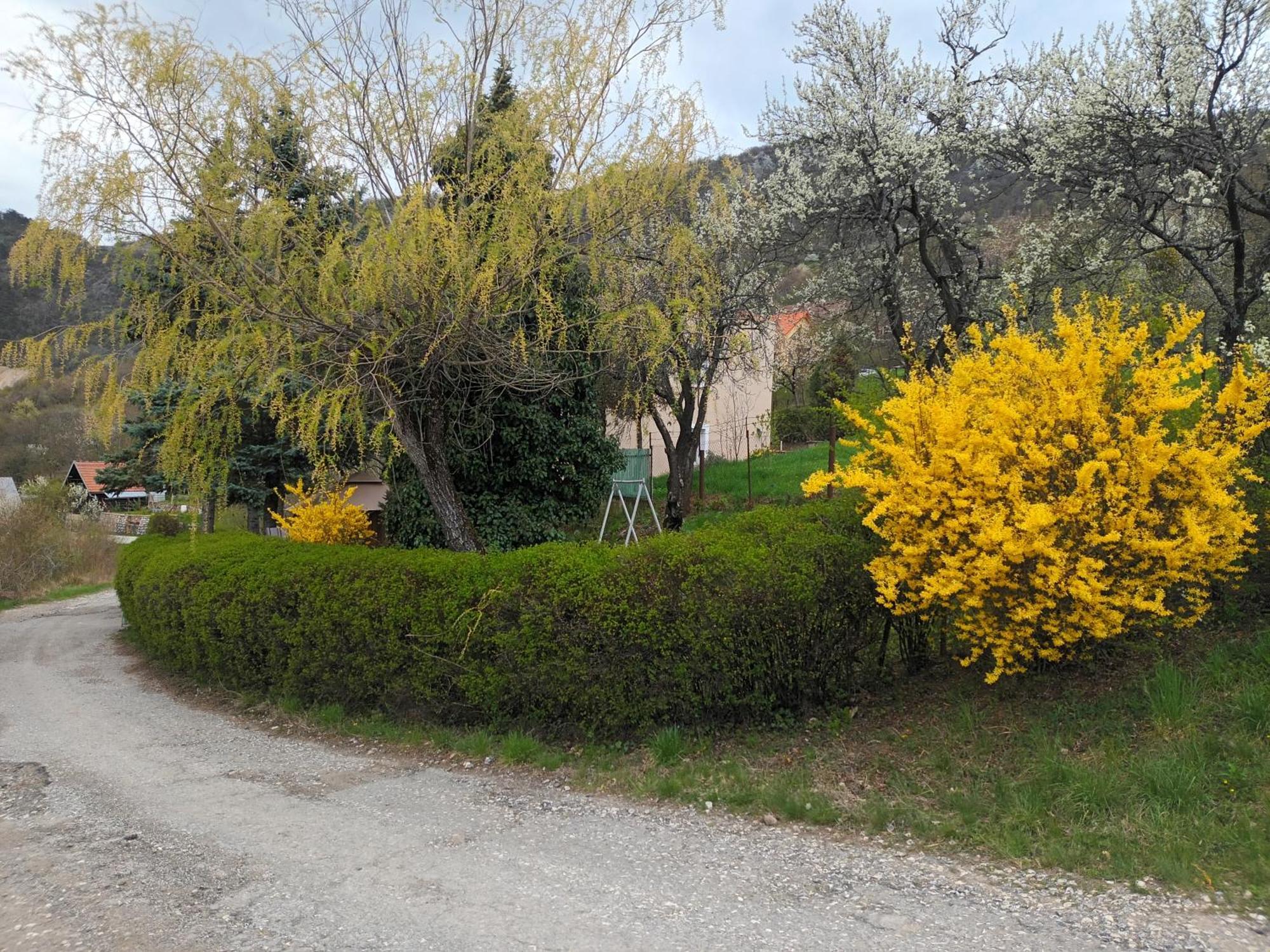 Villa Evetes Jablonov nad Turnou Εξωτερικό φωτογραφία